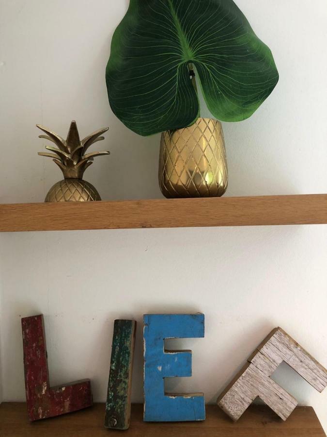 Studio Lief Bergen Binnen, Bij Bos Duin En Dorp מראה חיצוני תמונה